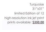 Turquoise
31”x31”
limited...